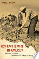 How race is made in America : immigration, citizenship, and the historical power of racial scripts /