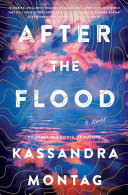 After the flood : a novel /
