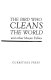 The Bird who cleans the world : and other Mayan fables /
