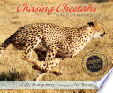 Chasing cheetahs : the race to save Africa's fastest cats /
