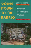 Going down to the barrio : homeboys and homegirls in change /