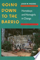 Going down to the barrio : homeboys and homegirls in change /