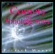 Comets and shooting stars /