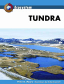 Tundra /