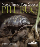 Next time you see a pill bug /