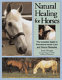 Natural healing for horses /
