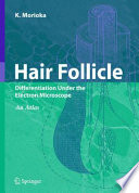 Hair follicle : differentiation under electron microscope : an atlas /
