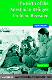 The birth of the Palestinian refugee problem revisited /