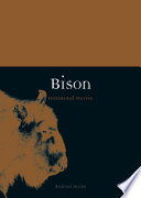 Bison /