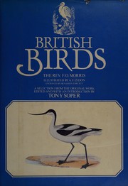 British birds /