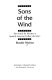 Sons of the wind : the search for identity in Spanish American Indian literature /