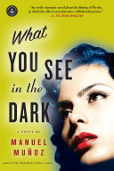 What you see in the dark : a novel /