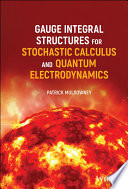 Gauge integral structures for stochastic calculus and quantum electrodynamics /