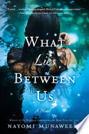 What lies between us : a novel /
