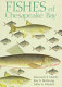 Fishes of Chesapeake Bay /