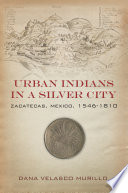 Urban Indians in a silver city : Zacatecas, Mexico, 1546-1810 /