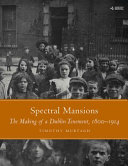 Spectral mansions : the making of a Dublin tenement, 1800-1914 /