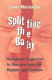 Splitting the baby : the culture of abortion in literature and law, rhetoric and cartoons /