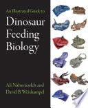 An illustrated guide to dinosaur feeding biology /