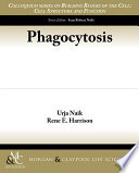 Phagocytosis /