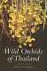 A field guide to the wild orchids of Thailand /