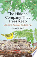 The hidden company that trees keep : life from treetops to root tips /