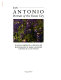 San Antonio : portrait of the Fiesta city /