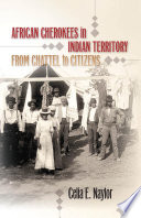 African Cherokees in Indian territory : from chattel to citizens /