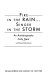 Fire in the rain-- singer in the storm : an autobiography /