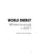World energy, will there be enough in 2020? /