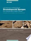 Late Ordovician and Early Silurian stromatoporoid sponges from Anticosti Island, eastern Canada : crossing the O/S mass extinction boundary /