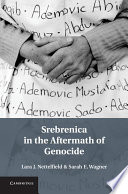 Srebrenica in the aftermath of genocide /