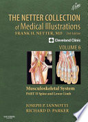 The Netter collection of medical illustrations. Musculoskeletal system.
