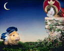 A guinea pig Romeo & Juliet : a pair of star-crossed lovers ... /