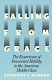Falling from grace : the experience of downward mobility in the American middle class /
