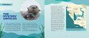 Sea otter heroes : the predators that saved an ecosystem /