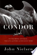 Condor : to the brink and back--the life and times of one giant bird /