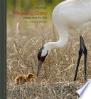 Whooping crane : images from the wild /