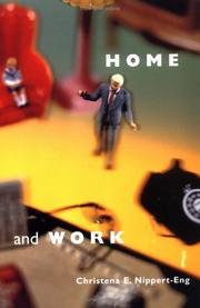 Home and work : negotiating boundaries through everyday life /