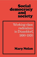 Social democracy and society : working-class radicalism in Dusseldorf, 1890-1920 /