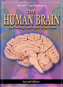 The human brain : in photographs and diagrams /