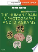 The human brain in photographs and diagrams /