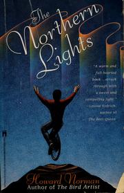 The northern lights : a novel /