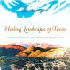 Healing landscapes : a journey from the Big Thicket to the Big Bend /