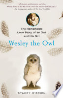 Wesley the owl : the remarkable love story of an owl and his girl /
