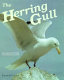 The herring gull /
