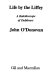 Life by the Liffey : a kaleidoscope of Dubliners /