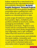 No brief : graphic designers' personal projects /