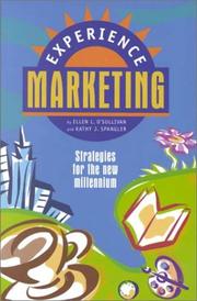 Experience marketing : strategies for the new millennium /