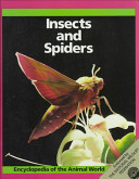Insects and spiders /